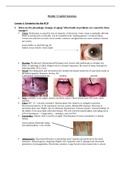  NURS 5333 Module 3 Guided Questions (w Ans) Lesson 1: Geriatrics for the PCP