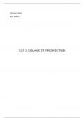 CCF E4 ciblage et prospection de l'entreprise 