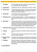 PARTS OF THE BRAIN TEST WITH VERIED ANSWERS GRADED A+