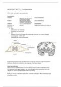 Samenvatting Nectar 5 vwo/6 vwo Hoofdstuk 13: ZENUWSTELSEL - Biologie met afbeeldingen