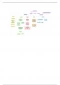 NURS 143 Osteoporosis Flowchart 