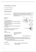 Samenvatting Nectar 5 vwo/6 vwo Hoofdstuk 21: AFWEER - Biologie met afbeeldingen