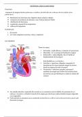 Sistema circulatorio (biología de 4to año)