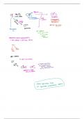 Organic chemistry 1 mechanisms 