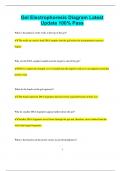 Gel Electrophoresis Diagram Latest  Update 100% Pass