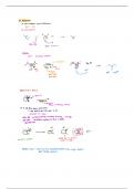 SN1, SN2, E1, E2 Reactions