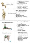 BOKS 1 anatomie, jaar 1 fysiotherapie 