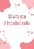 Notas del sistema circulatorio 