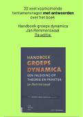 Tentamen vragen Handboek groepsdynamica Jan Remmerswaal 11e editie, 32 oefenvragen met antwoorden, zomer 2024