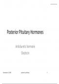 PHYSIOLOGY OF THE ENDOCRINE SYSTEM  : Posterior Pituitary Hormones Antidiuretic hormone Oxytocin