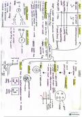 Last minute physics revision (atomic structure)