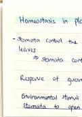 A Level Biology notes - Homeostasis in plants