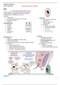 NURS 621: Adult/Gero. 1 Exam 1 Study Guide	Eyes • Ears • Nose • Throat Question and answers rated A+