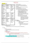 Abdominal Problems Chapter 11 p. 504 case study 