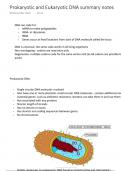 Prokaryotic and Eukaryotic DNA