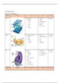 Schema celorganellen ingevuld - volledig