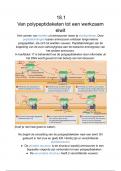 Eiwitten 6 VWO - Hoofdstuk 18 - Biologie samenvatting Nectar