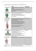 Volledige Samenvatting - Anatomie