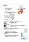 Samenvatting Energie en Grondstoffen (2e jaar AED)