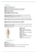 Samenvatting en lesnotities - Anatomie: bewegingsapparaat