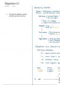 Biochemistry: Digestion and absorption process of sugar, protein and fats 