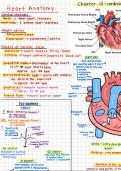 nursing health assessment notes 