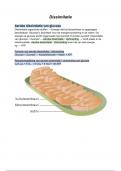 Biologie voor jou - Thema 8 - Stofwisseling in de cel - 8.5 - Dissimilatie