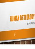 Lab 4 - Human Osteology