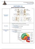 Lecture 4 - Human Osteology