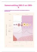 Samenvatting OBS 5 + OBS 6