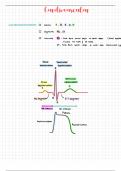 Class notes Anatomy & Physiology 