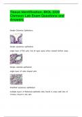 Tissue Identification, BIOL 2220 Clemson Lab Exam Questions and Answers