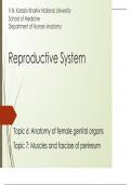 Reproductive System Topic 6: Anatomy of female genital organs Topic 7: Muscles and fasciae of perineum Plan of the lesson: Reproductive System