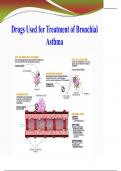 Pharmacology Essentials: Anti-Coagulants