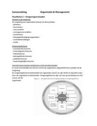 Organisatie & Management (O&M)