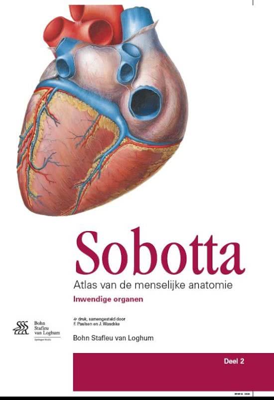 Sobotta / Deel 2 Inwendige organen