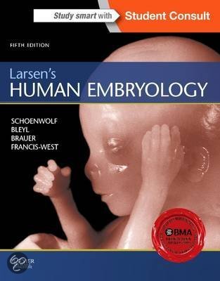 Embryologie en embryologie van hoofd en hals - samenvatting 