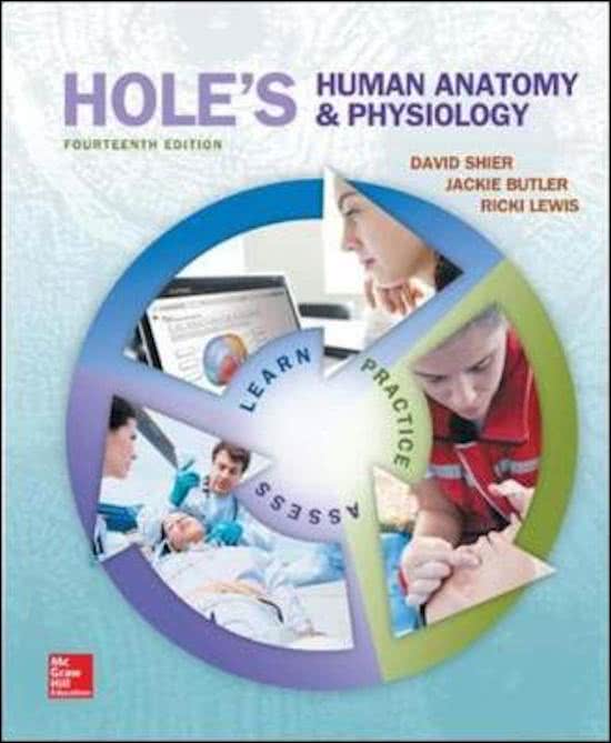 Holes-Human-Anatomy-and-Physiology-13th-Edition-Shier-Test-Bank.pdf